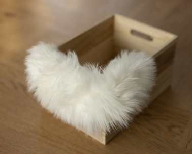 SOFT FUR - perfect for newborn session